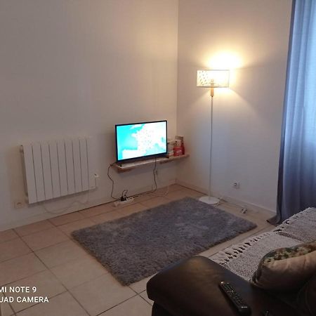 شقة Studio Spacieux Confortable Recemment Renove ألبي المظهر الخارجي الصورة