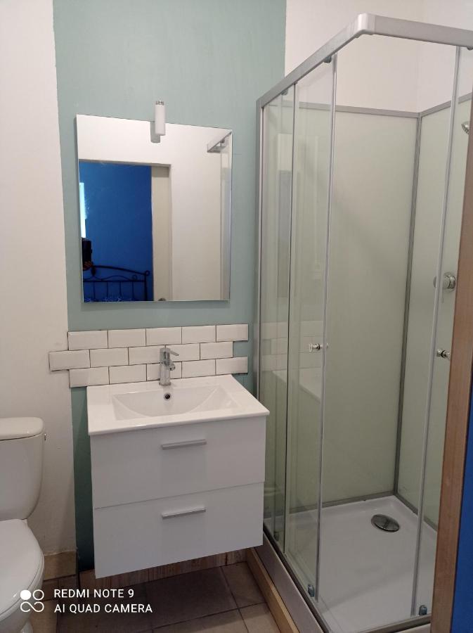 شقة Studio Spacieux Confortable Recemment Renove ألبي المظهر الخارجي الصورة