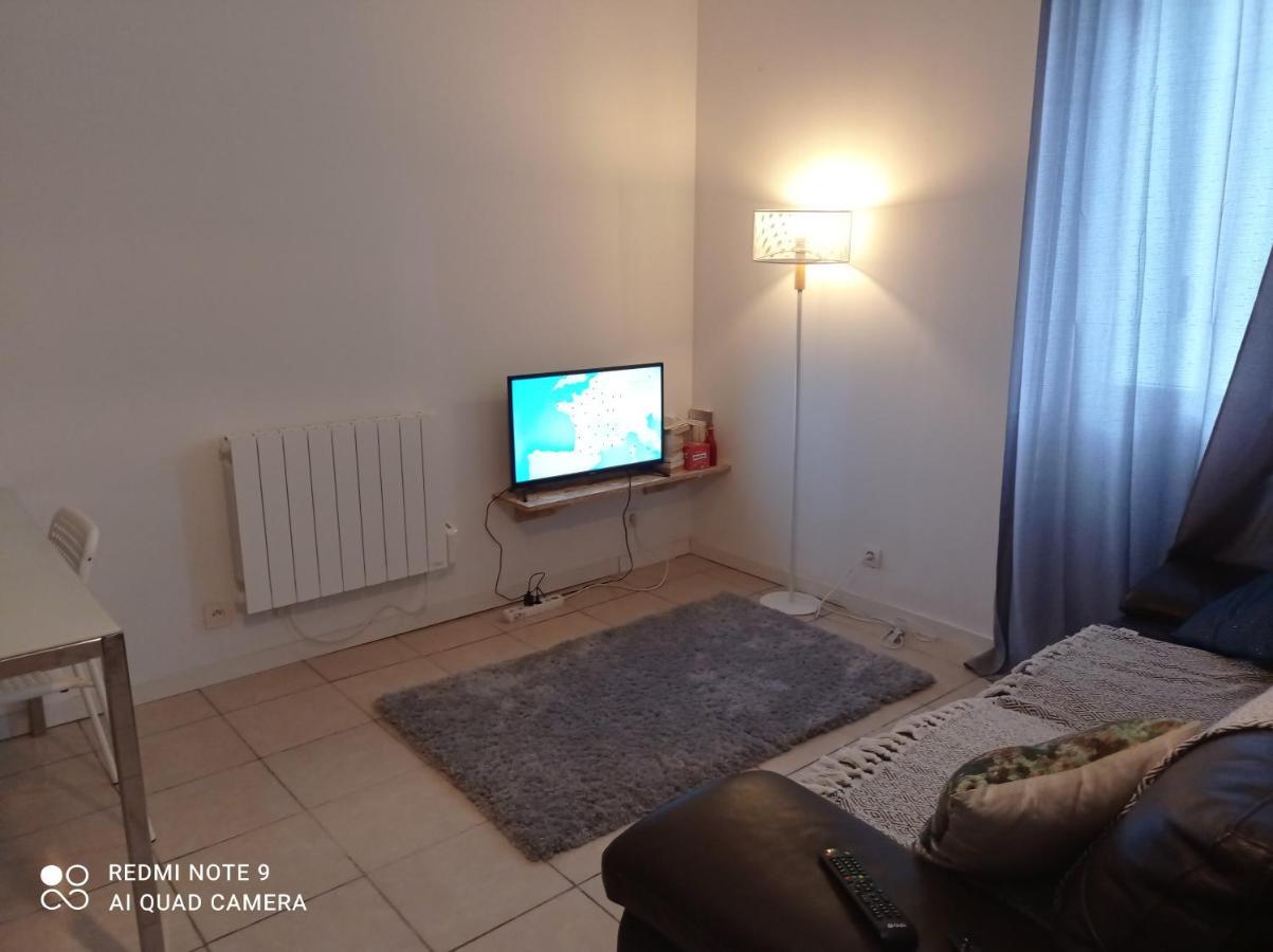 شقة Studio Spacieux Confortable Recemment Renove ألبي المظهر الخارجي الصورة